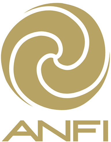 Anfi del Mar